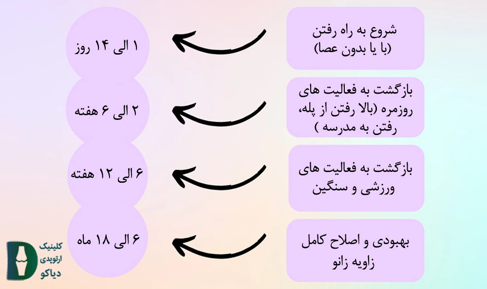 بازگشت به فعالیت